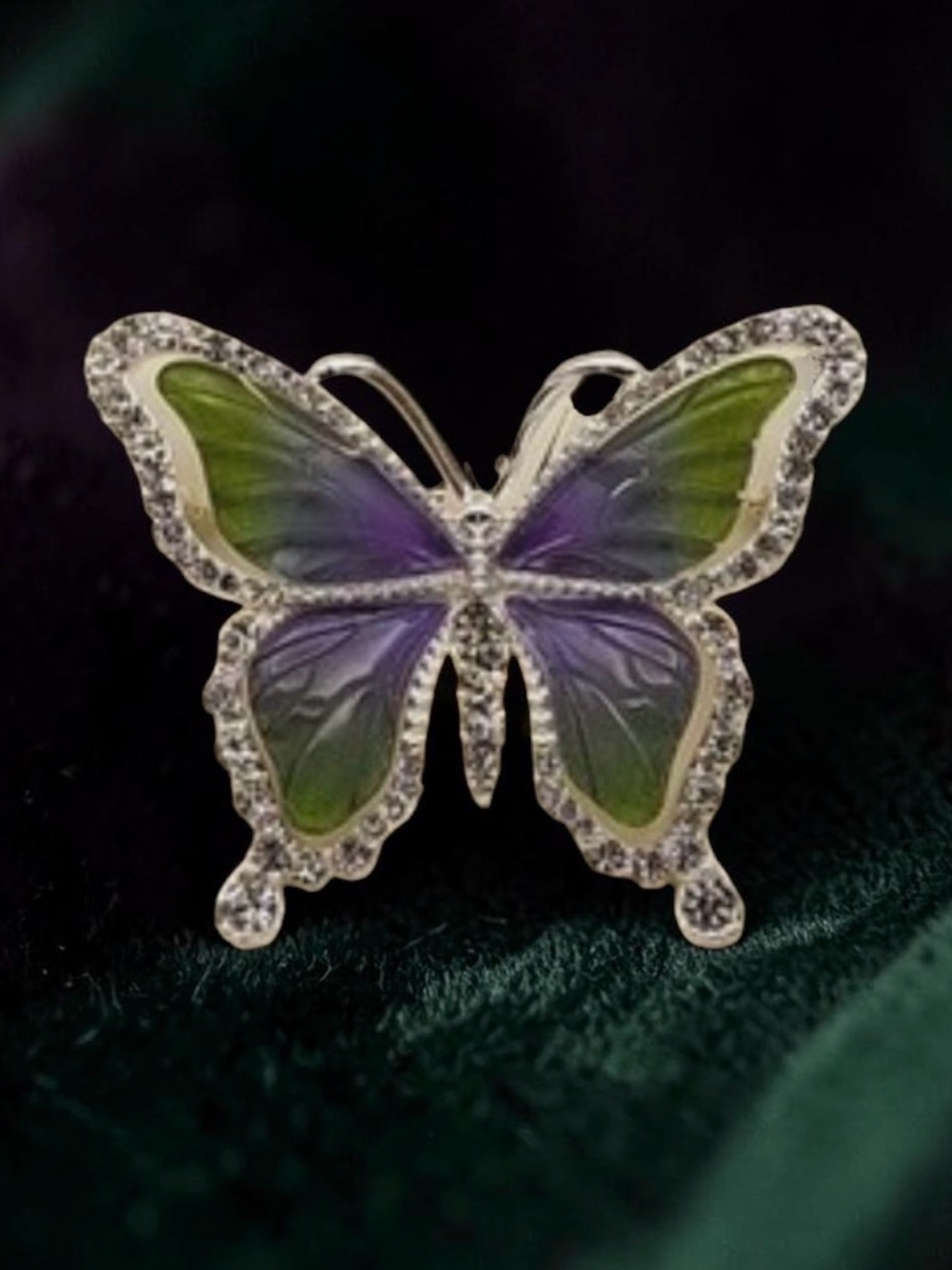 Napier Silver-Tone Butterfly Brooch with Purple and Green